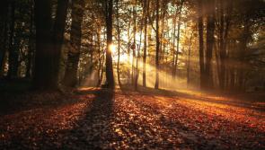 GUIDE: Preparing your child for the autumn clock change