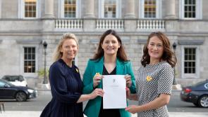 Louth senator works to ensure cancer survivors are not denied access to mortgage protection