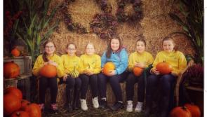 Knockbridge Brownies visit Corderry Fruit Farm pumpkin patch