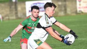 Late rally sees Cooley Kickhams overcome Dublin champions