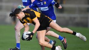 Below-par Ardee Down and out in Leinster 