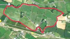Land c.170 Acres on the outskirts of Dundalk up for long term Leasing