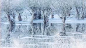 Status Orange warning issued for Louth as temperatures could plunge to -11C tonight