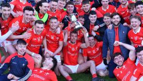 Cost of fielding inter county teams in Louth becoming a huge concern