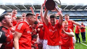 Louth GAA Year in Review: Mixed season ends on a high note for county hurlers