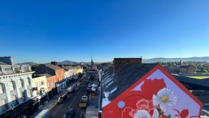 Dundalk's Coulter Poppies mural shortlisted in street art competition 