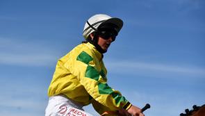Stars of the future come to the fore at action packed card at Dundalk Stadium 