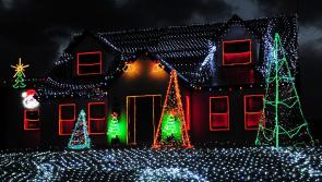Louth family raise almost €6,000 from spectacular Christmas light display