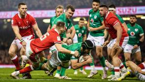 Joe Carroll: Ireland live up to expectations with win over Wales