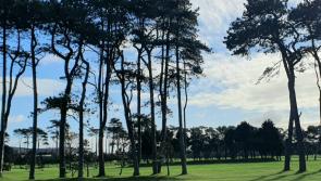 Greenore Ladies Golf Results