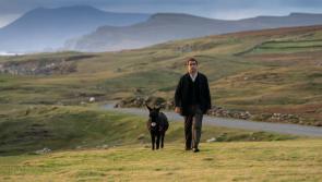 Oscar nominated films set to be screened at Dundalk's An Táin