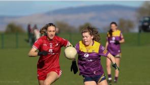 Louth Ladies winning run finally thwarted by Wexford 