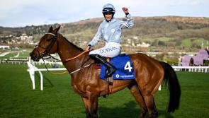 Cheltenham: Honeysuckle brings the house down with emotional victory for De Bromhead and Blackmore