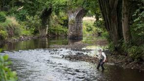 Public consultation for angling and fisheries improvement launched in Carlingford