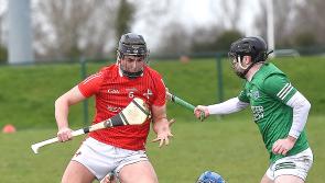 Louth hurlers close to safety following valuable victory over Fermanagh