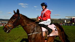 A Plus Tard gambled in to land Cheltenham Gold Cup