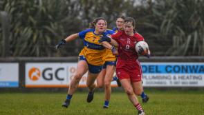 Old manager secures the bragging rights as Louth Ladies defeated in Clare