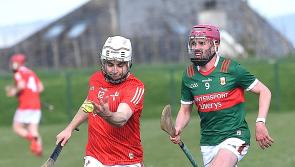 Louth hurlers run out of steam against highly motivated Mayo