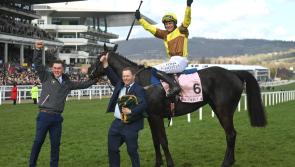 Inside Track: Ireland races away with Cheltenham team prize