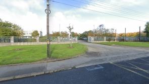 Over 1000 houses could be built on public land in Dundalk-report