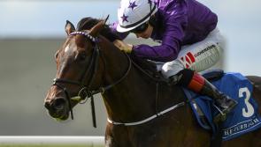 Colin Keane records valuable double for punters at Dundalk Stadium 