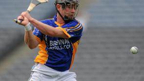 High class Wicklow put Louth Hurlers to the sword 