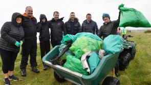 PayPal employees join beach clean at Rockmarshall  in north Louth for Earth Day