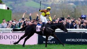 PUNCHESTOWN TIPS: All the best bets for Day 2 - Wednesday, April 26
