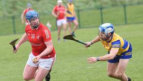 Gallant Louth hurlers outdone by Roscommon goal rush