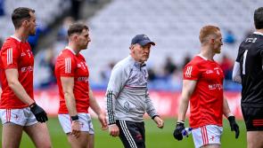 Mickey Harte annoyed to have let down such a vocal Louth support