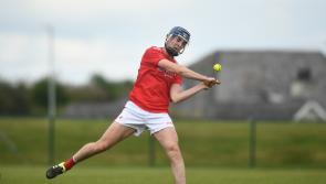 Red Hot Louth Hurlers secure their championship status