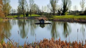 The latest results from Ardee Golf Club