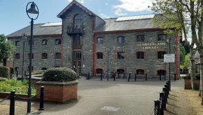 Louth Library Service offers free bag of books for all children starting primary school