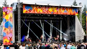 High Court proceedings launched against Forest Fest Music and Arts Festival over copyright dispute