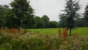 Five Louth parks winners at 2023 Green Flag Awards