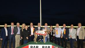 Carrick Aldo romps home to win Irish Sprint Cup 
