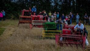 Knockbridge Vintage Rally returns next Sunday