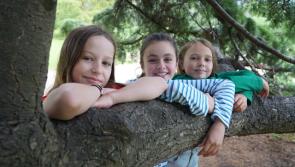 Primary Schools across Louth asked to ‘Go Nuts for Nature’ and plant a tree
