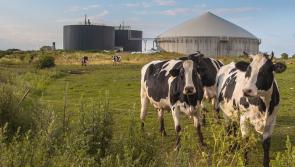 Louth's potential for a biomethane industry highlighted in report