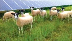 Plans underway for 300 acre solar farm in mid Louth