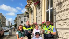 Make Way Day in Dundalk highlights challenges of people with disabilities in public spaces