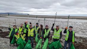 Estimated 5 1 tonnes of litter removed in Louth during the Big Beach Clean