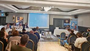 Crime fears as Louth Garda Division merger proposed 