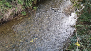 EPA report details delays to Dunleer treatment plant upgrade which resulted in Uisce Eireann fine