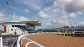 Opening of new track in Dundalk heralded a fresh start