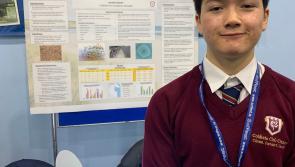 Coláiste Chú Chulainn student reveals impact of micro plastics on Louth's beaches