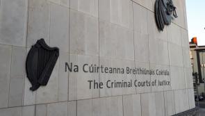 Fishmonger caught with large amount of cash in bag at Dublin Port is jailed