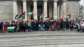 Palestinian solidarity protest in Dundalk told 'EU is losing all credibility'