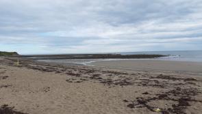 Dive into a #2MinuteBeachClean in Louth this Winter 