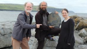 ‘Extraordinary’ 315-million-year-old fossil sponge found near the Cliffs of Moher